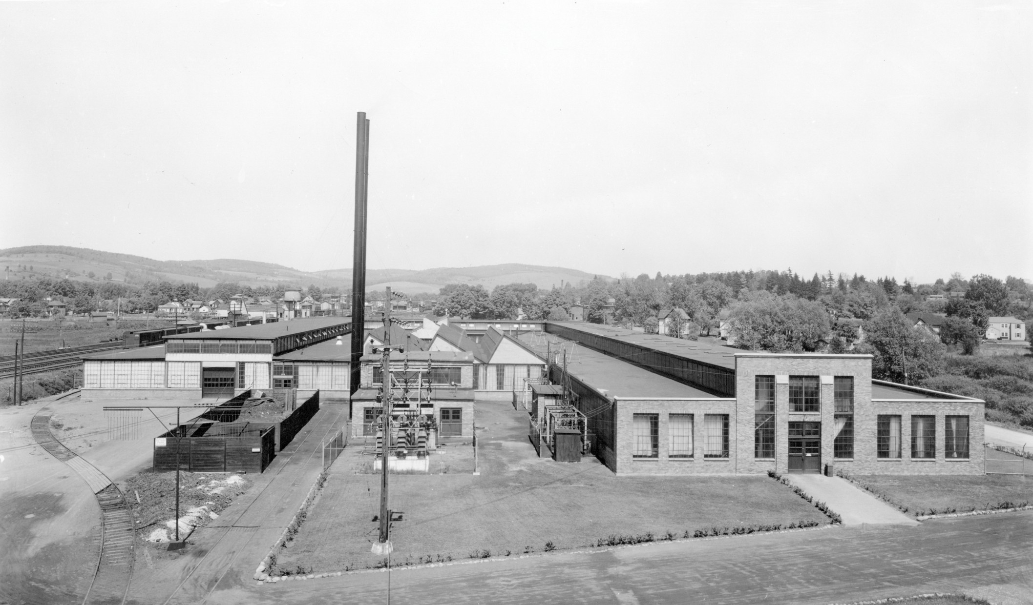 Old Plant