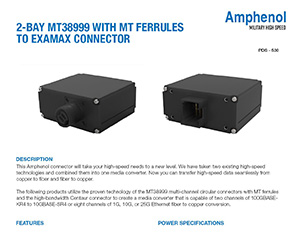 Document 2-Bay MT38999 with MT Ferrules to Examax Connector